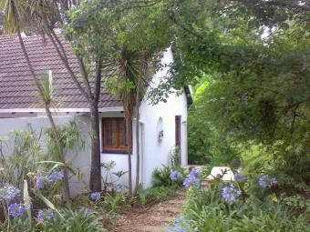 Bouvardia Nature Stream Pretoria